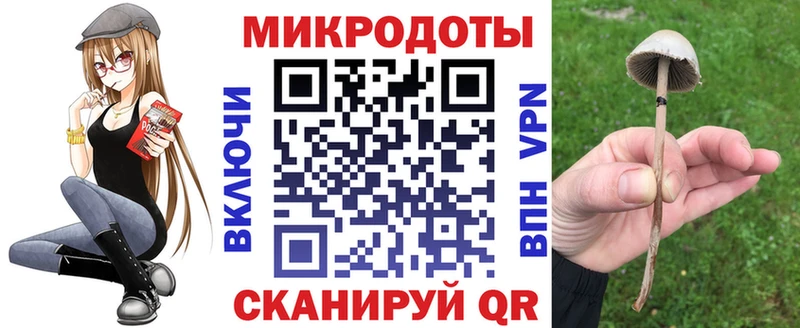 Псилоцибиновые грибы MAGIC MUSHROOMS  закладки  Шарья 